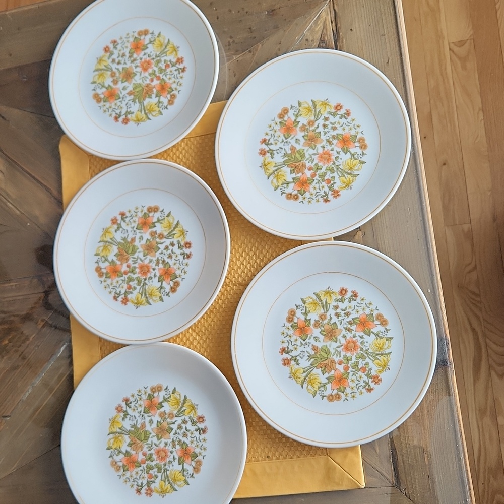Vintage Corelle Corning Indian Summer Salad Plates set of 5